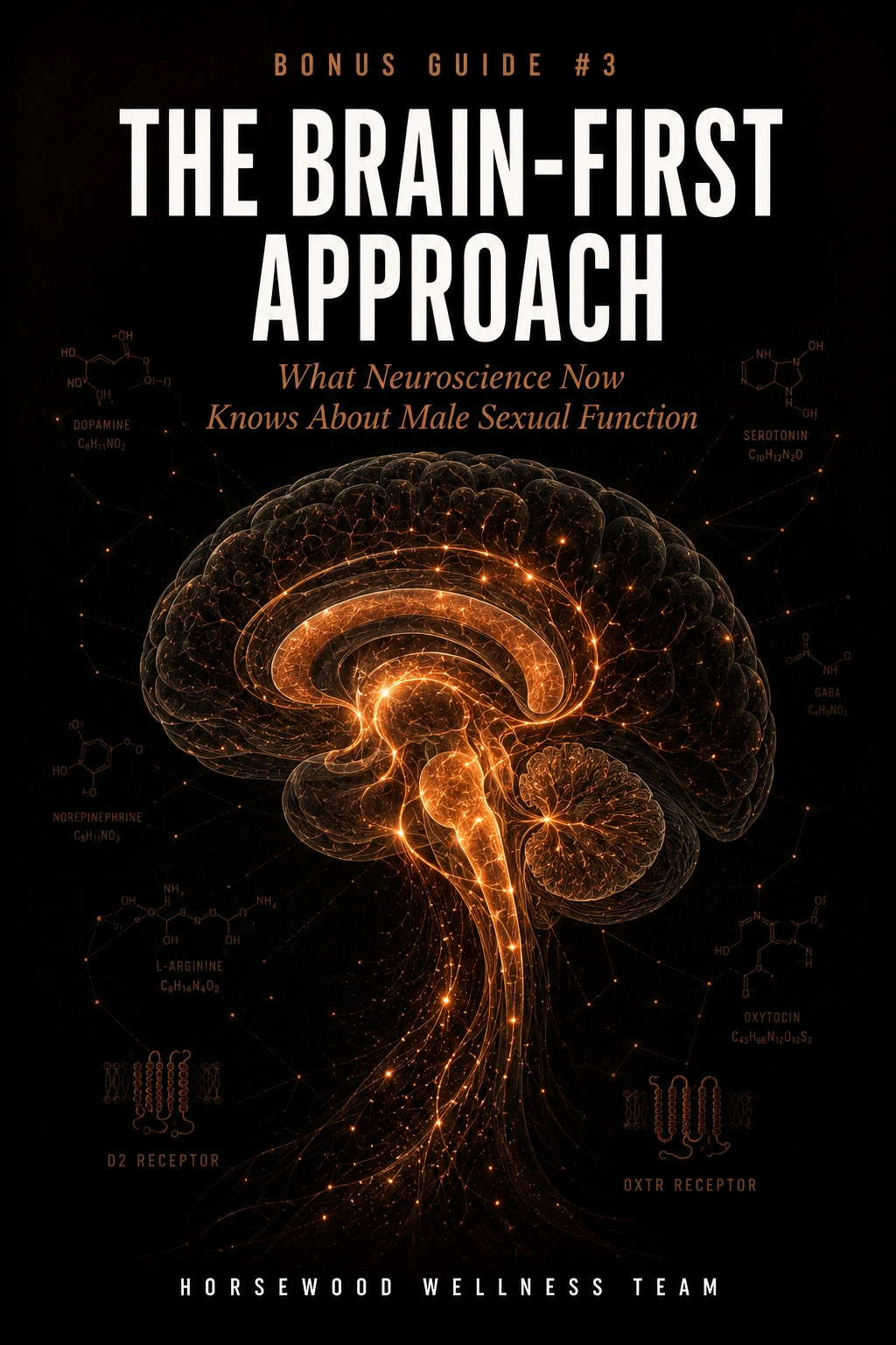 Bonus guide 3: The Brain-First Approach