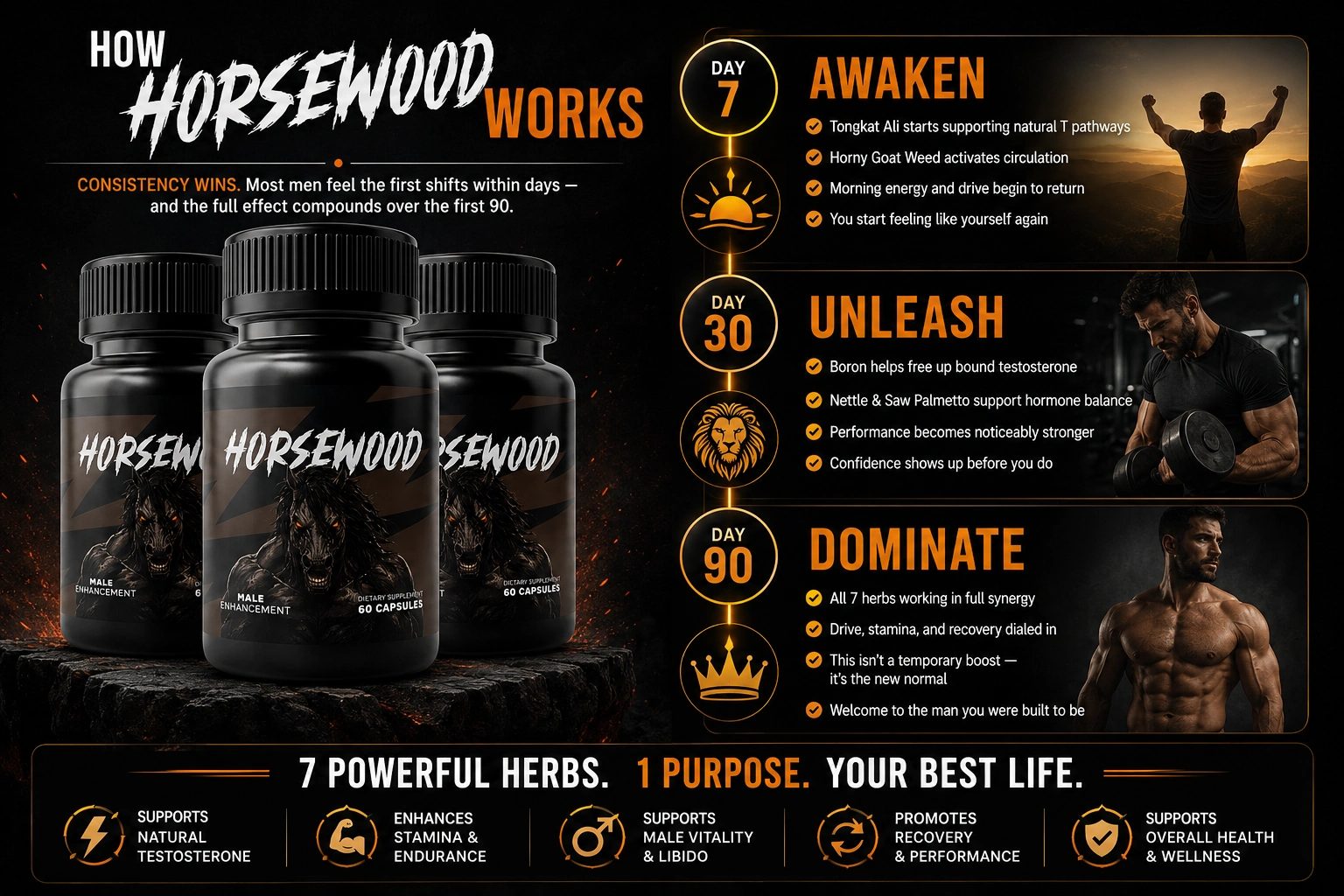 Horsewood formula botanical ingredients laid out for the daily male vitality capsule